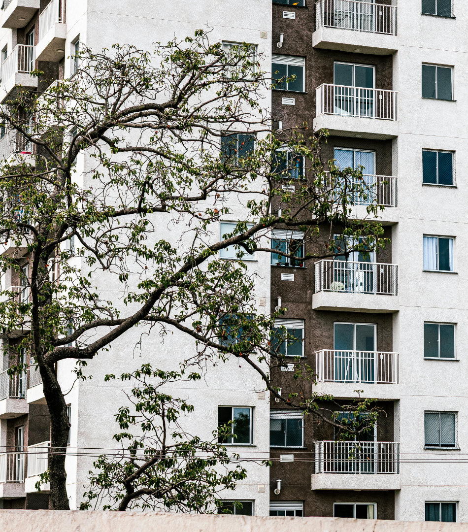 build to rent properties