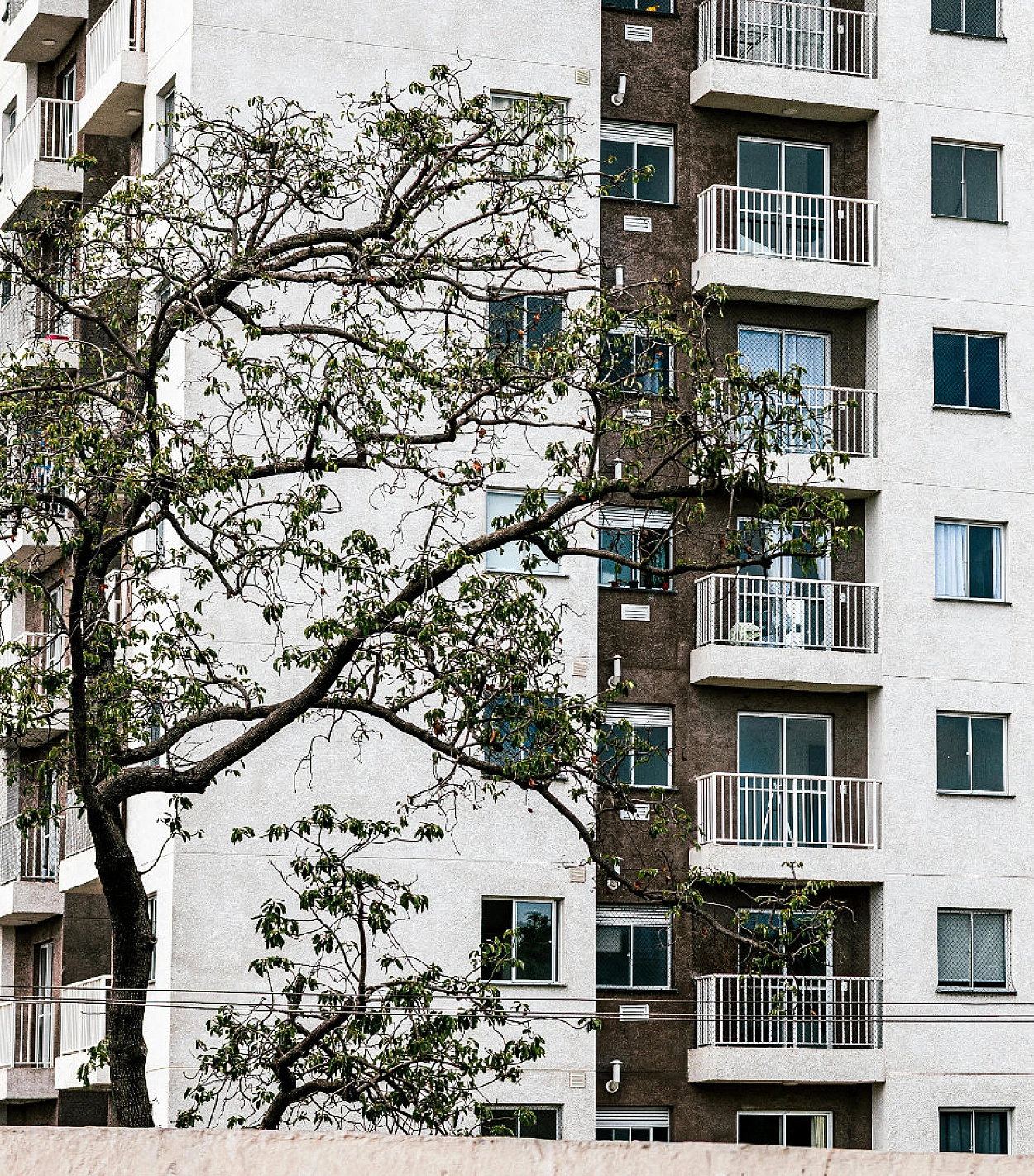 build to rent properties